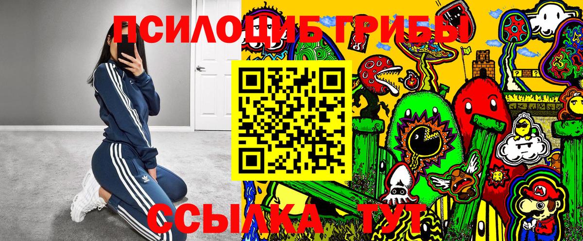 Галлюциногенные грибы Cubensis  Вход с VPN  хочу наркоту  Кимры 